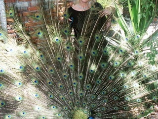 Olga in Mexico