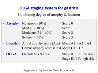OLGA staging system for gastritis
Combining degree of atrophy & location
• Atrophy No atrophy (0%) Score 0
Mild (1 – 30%) Score 1
Moderate (31 – 60%) Score 2
Severe (> 60%) Score 3
• Location Antral atrophy score (Aas) Mean A1 + A2 + A3
Corpus atrophy score (Cas) Mean C1 + C2
• OLGA Overall Aas & Cas Stage 0, I, II: low risk
Stage III, IV: high risk
Rugge M et al. Dig Liver Dis 2008 ; 40 : 650 – 658.
 