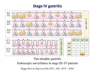 Stage IV gastritis
Pan-atrophic gastritis
Endoscopic surveillance in stage III–IV patients
Rugge M et al. Dig Liver Dis 2011 ; 43S : S373 – S384.
 