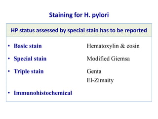 Staining for H. pylori
• Basic stain Hematoxylin & eosin
• Special stain Modified Giemsa
• Triple stain Genta
El-Zimaity
• Immunohistochemical
HP status assessed by special stain has to be reported
 