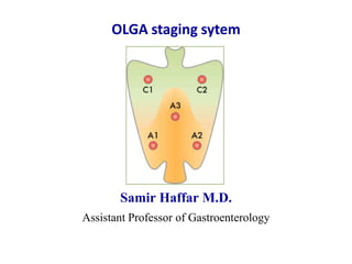 OLGA staging sytem
Samir Haffar M.D.
Assistant Professor of Gastroenterology
 