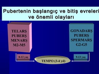Pubertenin başlangıç ve bitiş evreleriPubertenin başlangıç ve bitiş evreleri
ve önemli olaylarıve önemli olayları
TEMPO (3-4 yıl)
8-12 yaş
TELARŞ
PUBERŞ
MENARŞ
M2-M5
GONADARŞ
PUBERŞ
SPERMARŞ
G2-G5
9-13 yaş
 
