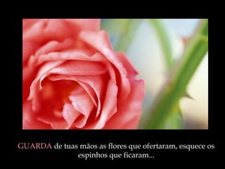 GUARDA  de tuas mãos as flores que ofertaram, esquece os espinhos que ficaram ... 