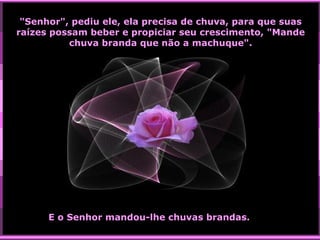 "Senhor", pediu ele, ela precisa de chuva, para que suas
raízes possam beber e propiciar seu crescimento, "Mande
chuva branda que não a machuque".

E o Senhor mandou-lhe chuvas brandas.

 