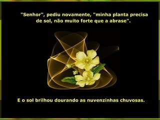 "Senhor", pediu novamente, "minha planta precisa
de sol, não muito forte que a abrase".

E o sol brilhou dourando as nuvenzinhas chuvosas.

 