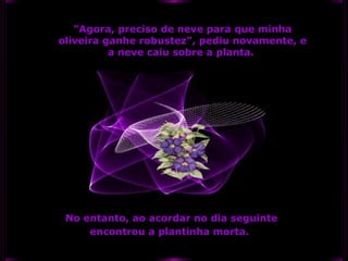 "Agora, preciso de neve para que minha
oliveira ganhe robustez", pediu novamente, e
a neve caiu sobre a planta.

No entanto, ao acordar no dia seguinte
encontrou a plantinha morta.

 