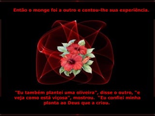 Então o monge foi a outro e contou-lhe sua experiência.

"Eu também plantei uma oliveira", disse o outro, "e
veja como está viçosa", mostrou. "Eu confiei minha
planta ao Deus que a criou.

 