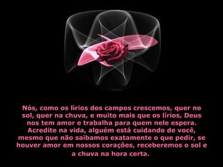 Nós, como os lírios dos campos crescemos, quer no
sol, quer na chuva, e muito mais que os lírios, Deus
nos tem amor e trabalha para quem nele espera.
Acredite na vida, alguém está cuidando de você,
mesmo que não saibamos exatamente o que pedir, se
houver amor em nossos corações, receberemos o sol e
a chuva na hora certa.

 