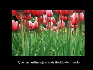 Que teu jardim seja o mais florido do mundo ! 