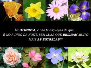 Sê  OTIMISTA , e n ã o te esque ç as de que... É  NO FUNDO DA NOITE SEM LUAR QUE  BRILHAM  MUITO MAIS  AS ESTRELAS !!! 