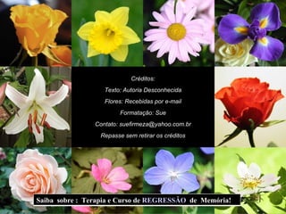 Créditos: Texto: Autoria Desconhecida Flores: Recebidas por e-mail Formatação: Sue Contato: suefirmeza@yahoo.com.br Repasse sem retirar os créditos Saiba  sobre :  Terapia e Curso de  REGRESSÃO   de  Memória!  