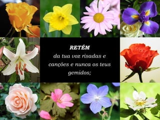 RETÉM da tua voz risadas e can çõ es e nunca os teus gemidos; 