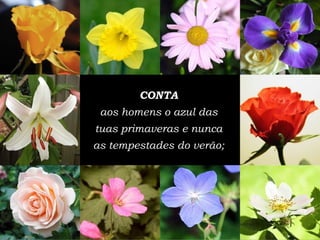 CONTA aos homens o azul das tuas primaveras e nunca as tempestades do ver ã o; 