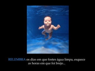 RELEMBRA  os dias em que fostes água limpa, esquece as horas em que foi brejo ... 