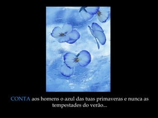 CONTA  aos homens o azul das tuas primaveras e nunca as tempestades do verão ... 