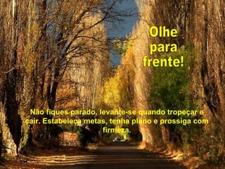 Não fiques parado, levante-se quando tropeçar e
cair. Estabeleça metas, tenha plano e prossiga com
firmeza.
 