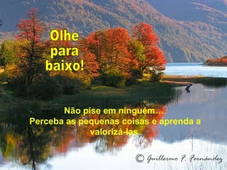 Não pise em ninguém…
Perceba as pequenas coisas e aprenda a
valorizá-las.
 