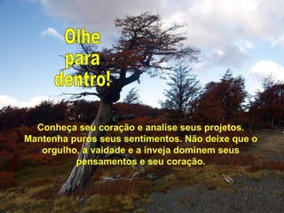 Conheça seu coração e analise seus projetos.
Mantenha puros seus sentimentos. Não deixe que o
orgulho, a vaidade e a inveja dominem seus
pensamentos e seu coração.
 