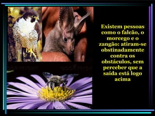 Existem pessoas como o falcão, o morcego e o zangão: atiram-se obstinadamente contra os obstáculos, sem perceber que a saída está logo acima 