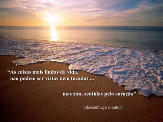 “As coisas mais lindas da vida,
 não podem ser vistas nem tocadas ...

                       mas sim, sentidas pelo coração”

                                (desconheço o autor)
 