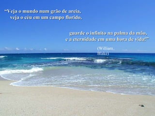 Veja o mundo num grão de areia “ Veja o mundo num grão de areia, veja o céu em um campo florido, guarde o infinito na palma da mão, e a eternidade em uma hora de vida!” (William Blake) 