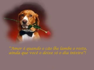 “Amor é quando o cão lhe lambe o rosto,
ainda que você o deixe só o dia inteiro”!
 