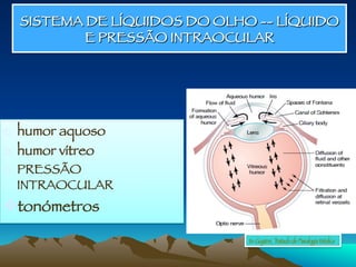 SISTEMA DE LÍQUIDOS DO OLHO -- LÍQUIDO
E PRESSÃO INTRAOCULAR
o  humor aquoso
o  humor vítreo
o  PRESSÃO
INTRAOCULAR
v tonómetros
In: Guyton, Tratado de Fisiologia Médica
 