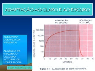 ADAPTAÇÃO AO CLARO E AO ESCURO
RODOPSINA –
DERIVADA DA
VITAMINA A

AUSÊNCIA DE
VITAMINA A =
CEGUEIRA
NOTURNA OU
HEMERALOPIA
In: Guyton, Tratado de Fisiologia Médica
 
