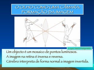 O OLHO COMO UMA CÂMARA:
FORMAÇÃO DA IMAGEM
•  Um objecto é um mosaico de pontos luminosos.
•  A imagem na retina é inversa e reversa.
•  Cérebro interpreta de forma normal a imagem invertida.
In: Guyton, Tratado de Fisiologia Médica
 