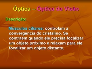 Óptica – Óptica da Visão
Descrição:
Músculos ciliares: controlam a
convergência do cristalino. Se
contraem quando ele precisa focalizar
um objeto próximo e relaxam para ele
focalizar um objeto distante.
 