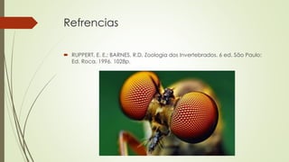 Refrencias
 RUPPERT, E. E.; BARNES, R.D. Zoologia dos Invertebrados. 6 ed. São Paulo:
Ed. Roca. 1996. 1028p.
 
