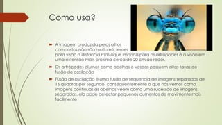 Como usa?
 A imagem produzida pelos olhos
compostos não são muito eficientes
para visão a distancia mas oque importa para os artrópodes é a visão em
uma extensão mais próxima cerca de 20 cm ao redor.
 Os artrópodes diurnos como abelhas e vespas possuem altas taxas de
fusão de oscilação
 Fusão de oscilação é uma fusão de sequencia de imagens separadas de
16 quadros por segundo, consequentemente o que nós vemos como
imagens continuas as abelhas veem como uma sucessão de imagens
separadas, ela pode detectar pequenos aumentos de movimento mais
facilmente
 