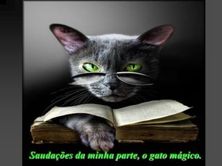 Saudações da minha parte, o gato mágico.
 