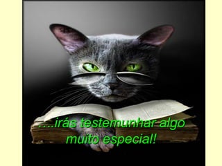 ….irás testemunhar algo
    muito especial!
 