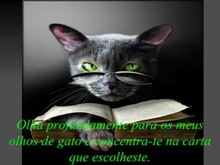 Olha profundamente para os meus olhos de gato e concentra-te na carta que escolheste. 