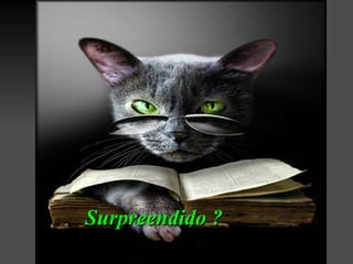 Surpreendido ? 