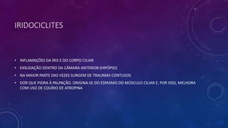 IRIDOCICLITES
• INFLAMAÇÕES DA ÍRIS E DO CORPO CILIAR
• EXSUDAÇÃO DENTRO DA CÂMARA ANTERIOR (HIPÓPIO)
• NA MAIOR PARTE DAS VEZES SURGEM DE TRAUMAS CONTUSOS
• DOR QUE PIORA À PALPAÇÃO. ORIGINA-SE DO ESPASMO DO MÚSCULO CILIAR E, POR ISSO, MELHORA
COM USO DE COLÍRIO DE ATROPINA
 