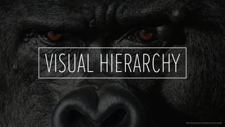 VISUAL HIERARCHY
Photo: http://animal-kid.com/silverback-gorilla-muscles.html
 