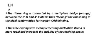 The ribose ring is connected by a methylene bridge (orange)
between the 2’-O and 4’-C atoms thus “locking” the ribose ring in
the ideal conformation for Watson-Crick binding.
Thus the Pairing with a complementary nucleotide strand is
more rapid and increases the stability of the resulting duplex
LN
A
 