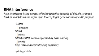 RNA Interference
RNA interferenc is the process of using specific sequence of double stranded
RNA to knockdown the expression level of taget genes or therapeutic purpose.
dsRNA
cleavage
SiRNA
mRNA
SiRNA-mRNA complex formed by base pairing
bind to
RISC (RNA induced silencing complex)
splicing protein
 