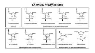Chemical Modifications
 