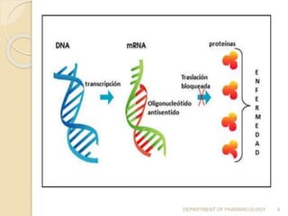 DEPARTMENT OF PHARMACOLOGY 4
 