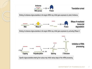 DEPARTMENT OF PHARMACOLOGY 7
 