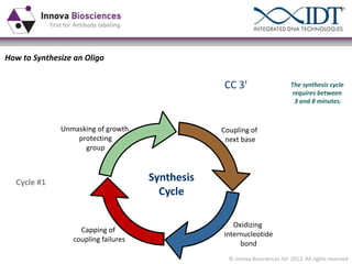 How to Synthesize an Oligo

5’  GCACTTCAGGCTCCTGGGCC  3ʹ′

Unmasking of growth
protecting
group

The synthesis cycle
requires between
3 and 8 minutes.

Coupling of
next base

Synthesis
Cycle

Cycle #1

Capping of
coupling failures

Oxidizing
internucleotide
bond
© Innova Biosciences ltd. 2013. All rights reserved

 