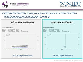 5ʹ′  ATCTGACTATGACTGACTGACTGACAGACTACTGACTGACTATCTGACTGA
TCTGCAACACGCAAGGTCGGCGAT-Amino  3ʹ′
Before HPLC Purification

After HPLC Purification

62.7% Target Sequence

98.4% Target Sequence
© Innova Biosciences ltd. 2013. All rights reserved

 