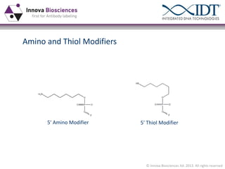 Amino and Thiol Modifiers

5ʹ′  Amino  Modifier

5ʹ′  Thiol  Modifier

© Innova Biosciences ltd. 2013. All rights reserved

 