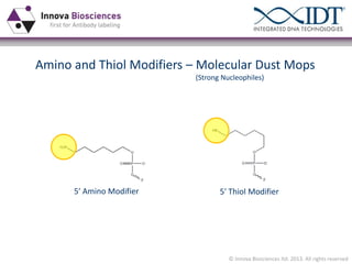 Amino and Thiol Modifiers – Molecular Dust Mops
(Strong Nucleophiles)

5ʹ′  Amino  Modifier

5ʹ′  Thiol  Modifier

© Innova Biosciences ltd. 2013. All rights reserved

 