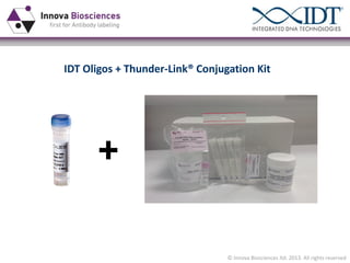 IDT Oligos + Thunder-Link® Conjugation Kit

© Innova Biosciences ltd. 2013. All rights reserved

 