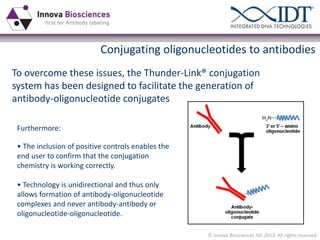 Conjugating oligonucleotides to antibodies
To overcome these issues, the Thunder-Link® conjugation
system has been designed to facilitate the generation of
antibody-oligonucleotide conjugates
Furthermore:
• The inclusion of positive controls enables the
end user to confirm that the conjugation
chemistry is working correctly.
• Technology is unidirectional and thus only
allows formation of antibody-oligonucleotide
complexes and never antibody-antibody or
oligonucleotide-oligonucleotide.
© Innova Biosciences ltd. 2013. All rights reserved

 