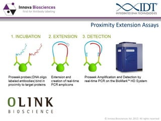 Proximity Extension Assays

© Innova Biosciences ltd. 2013. All rights reserved

 